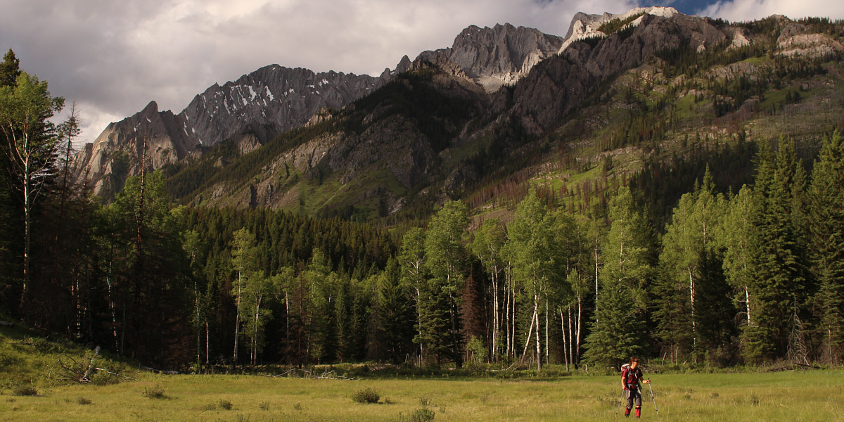 I am never coming back here again...ever!