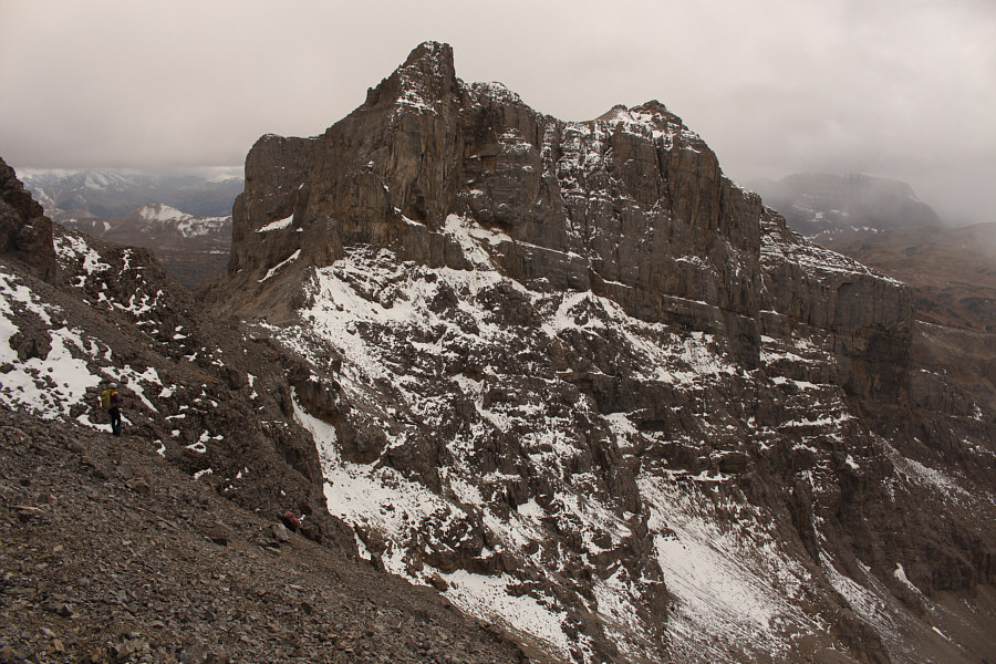 I wonder if this outlier can be scrambled...