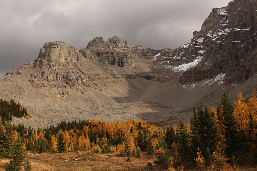 Au revoir, Howard Douglas!