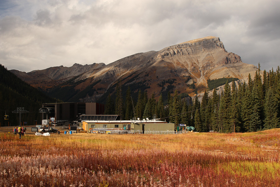 Too bad the patio wasn't open!