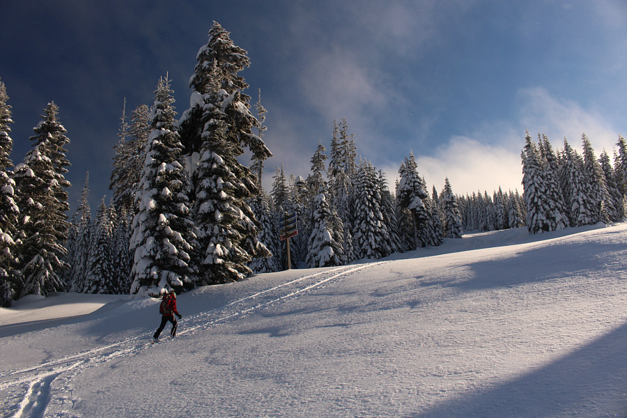 Can't wait to ski back down here!