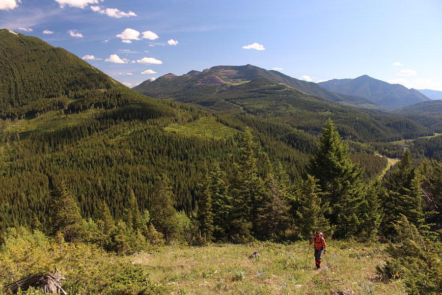 A gorgeous day in the Crowsnest Pass area!