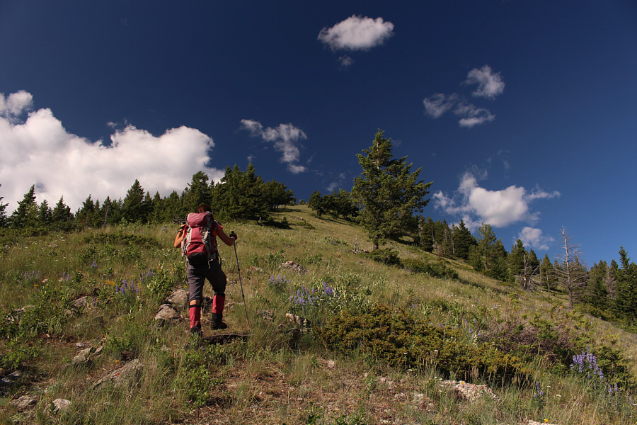 Much more pleasant hiking than the northeast slopes.