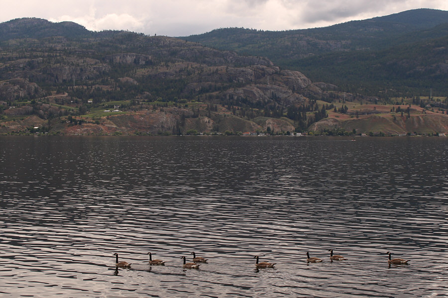 Just like a shooting gallery...