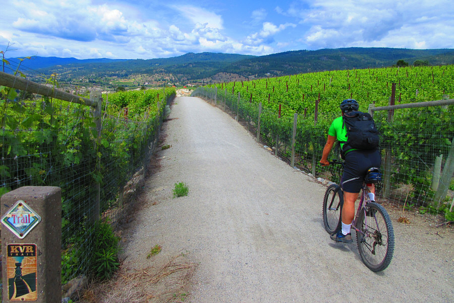 It's kinda like the Death Star trench run...