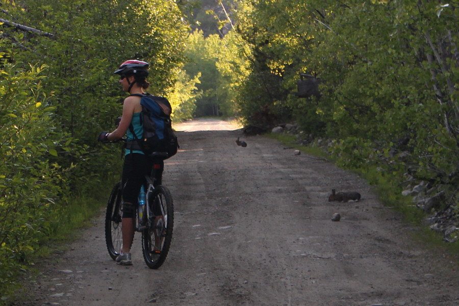 We saw many more along the KVR.