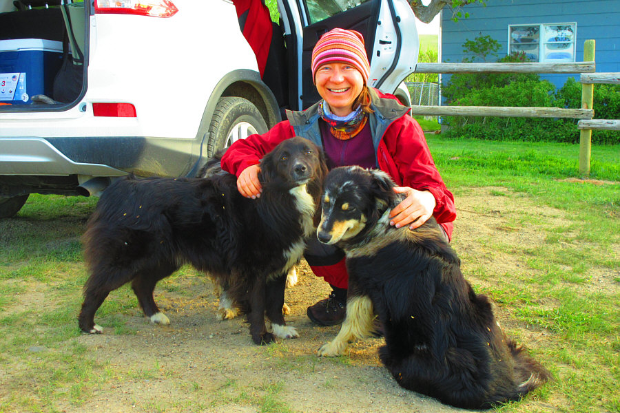 These dogs were really sweet!