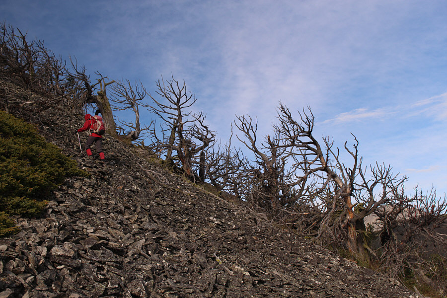 Looks creepier here than I remember...