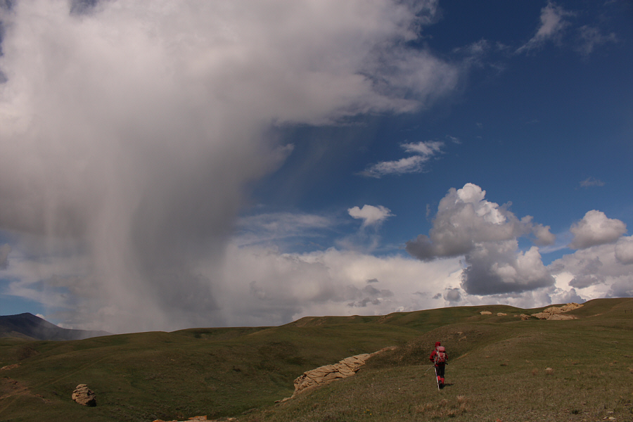Nice grass...all that's missing are some bunnies and Teletubbies!