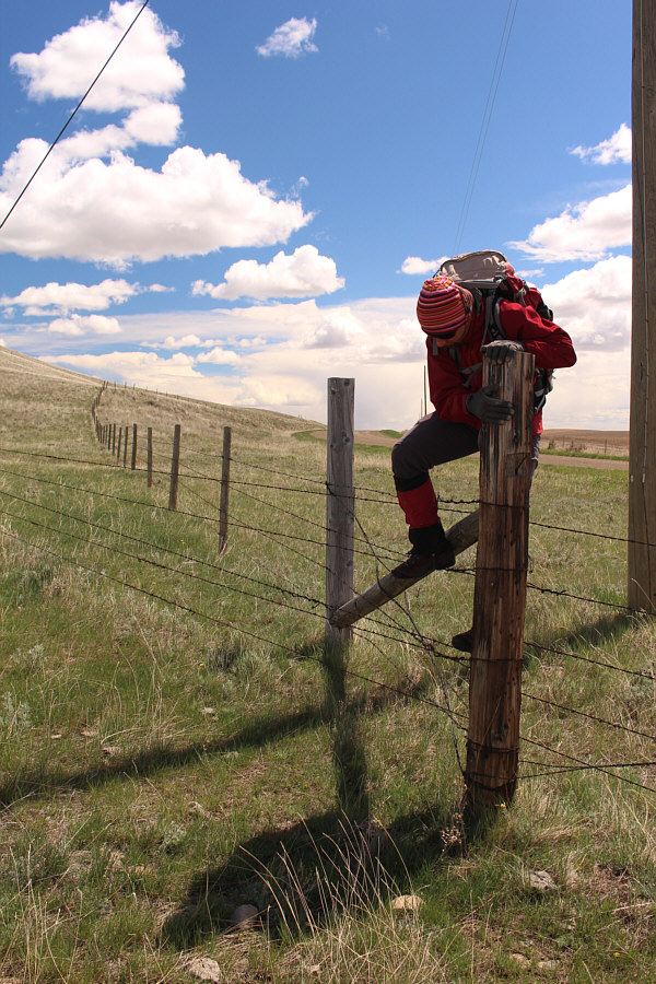 I think she's starting to get good at this!