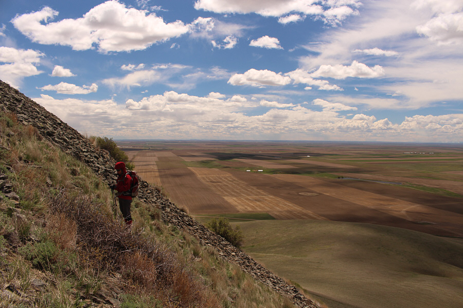 This might be a nice slope to ski in winter!