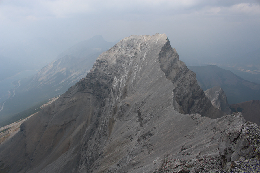 Vern Dewit and Cornelius Rott would bag this one the following day.