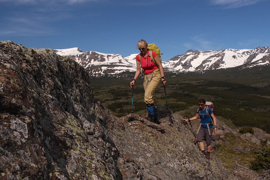 We could have easily avoided these, but what fun would that be??