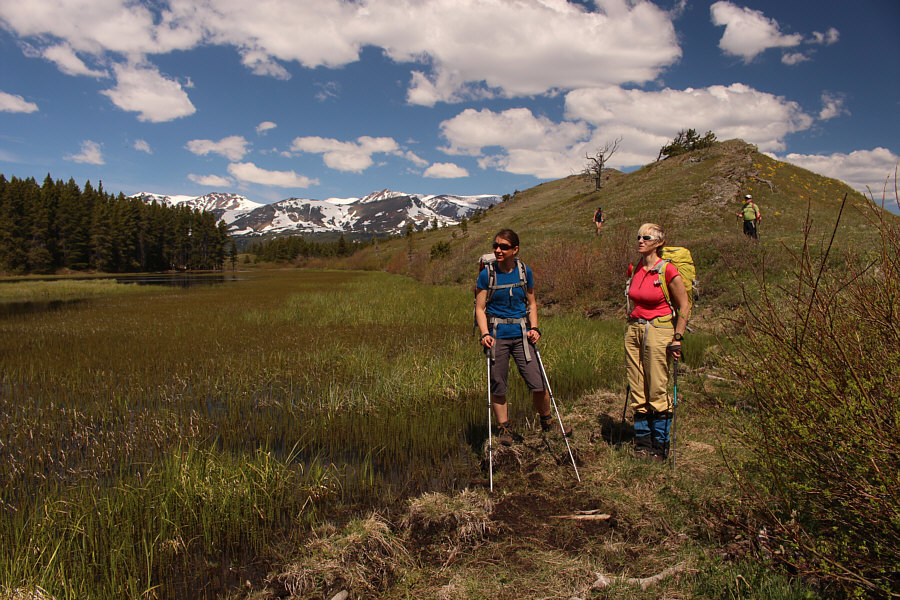 A large flock of geese and goslings out of view to the left are attracting the attention of Zosia and Marta.