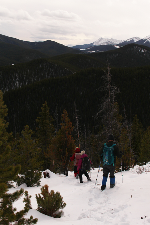 Unfortunatley, the flagging doesn't extend all the way back to Lusk Pass trail which may explain why we missed it in the first place.