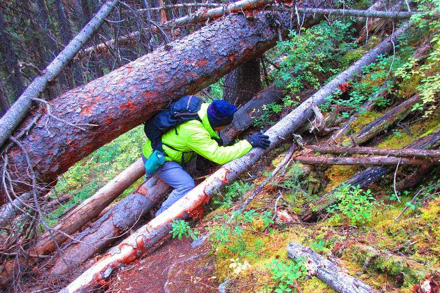 This should keep out all the casual tourists!