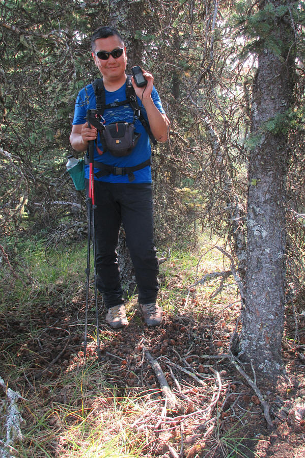 I hate tree-covered summits!