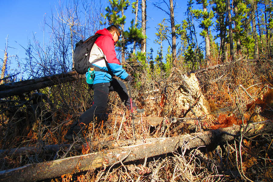 Actually, this was a cakewalk compared to North Kintla Creek!