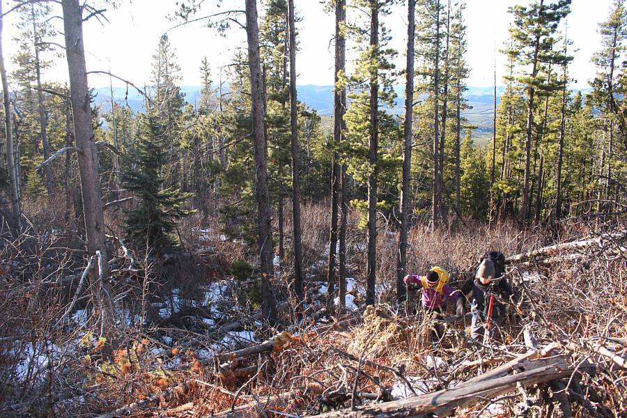 Bushwhacking is so much more fun with friends!