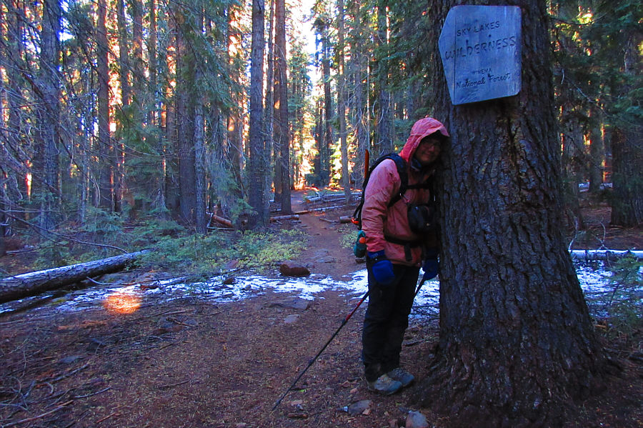 I'm so cold that I'm hugging a tree for warmth!