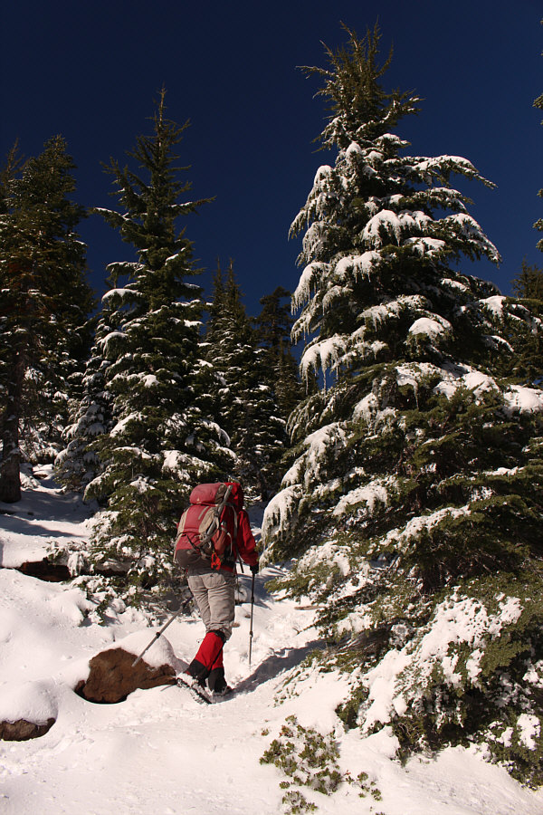 The trail is almost skiable in places!