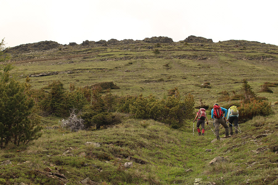 Steep but easy off-trail hiking here.