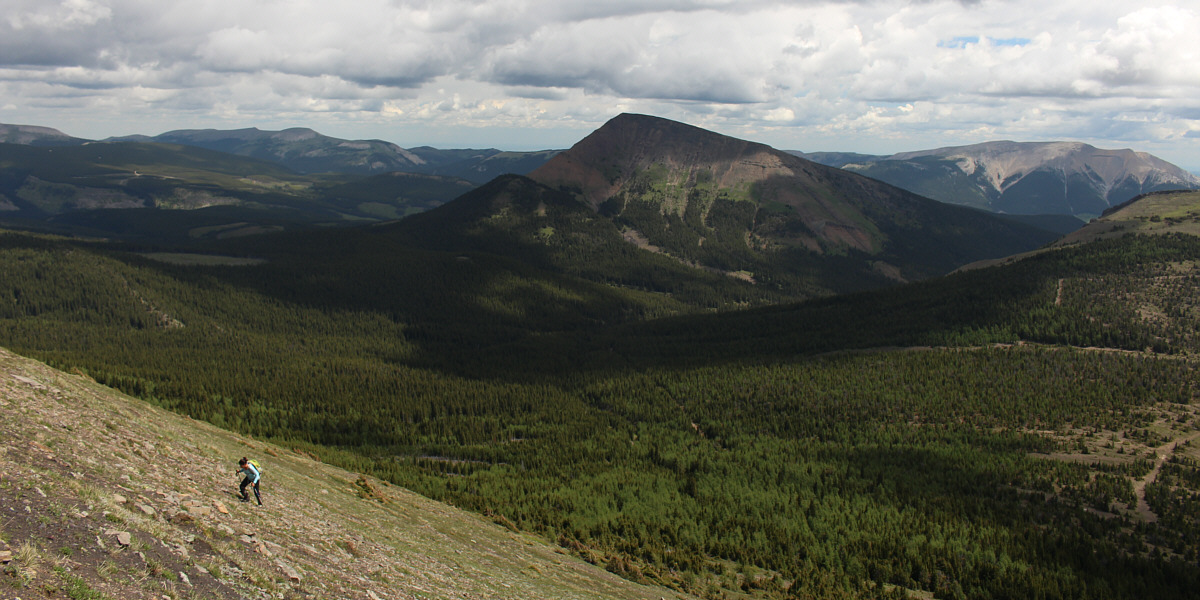 Still having fun, Asieh??