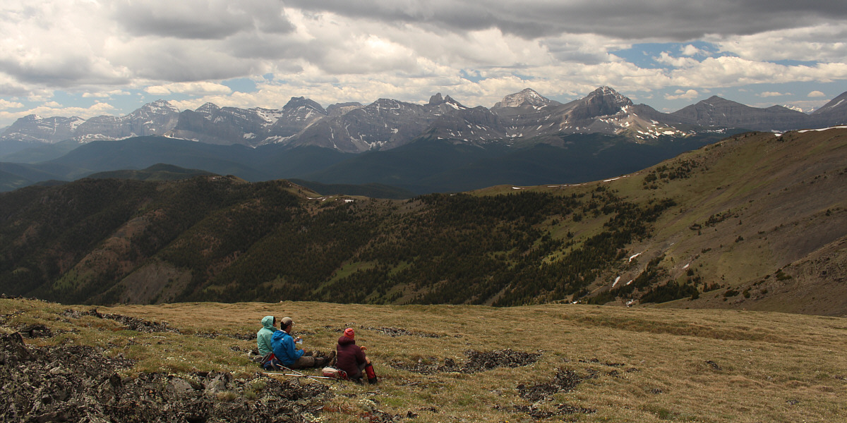 There are some intriguing peaks there...