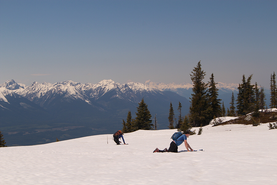 Why didn't we bring skis??