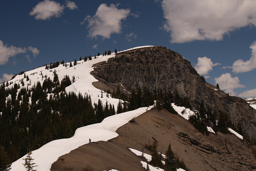 Much better...I think we'll make it!