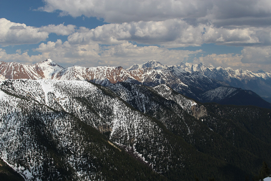 Some future projects...maybe...