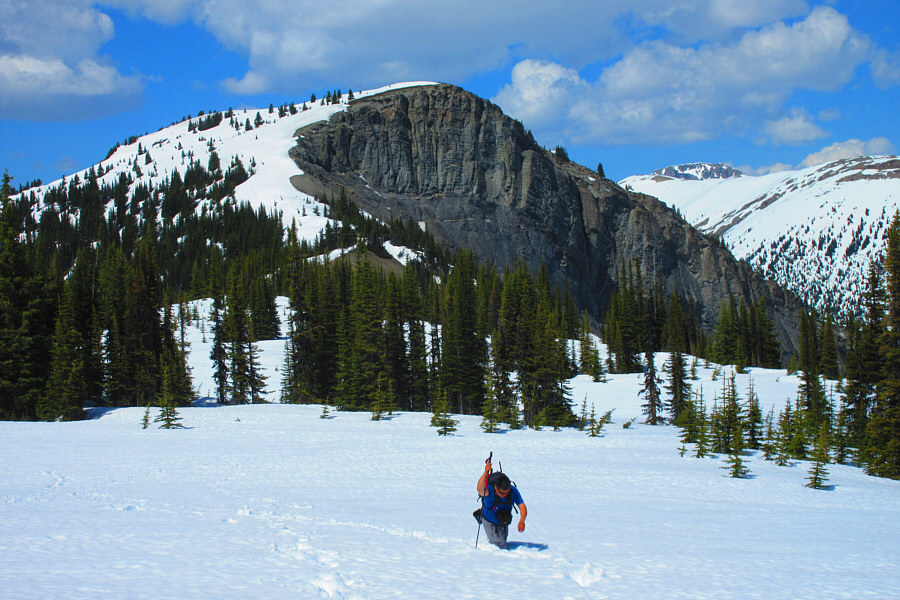 I did this once...I can do this again!