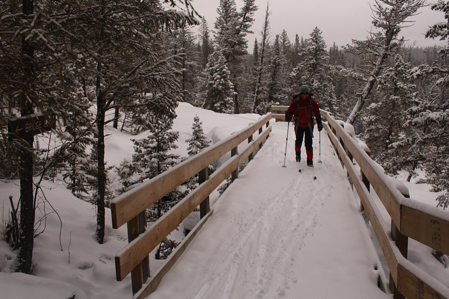 It's almost impossible to get a good photograph of the Natural Bridge.