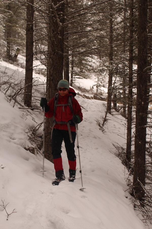 Luckily the snow was supportive enough to walk on.