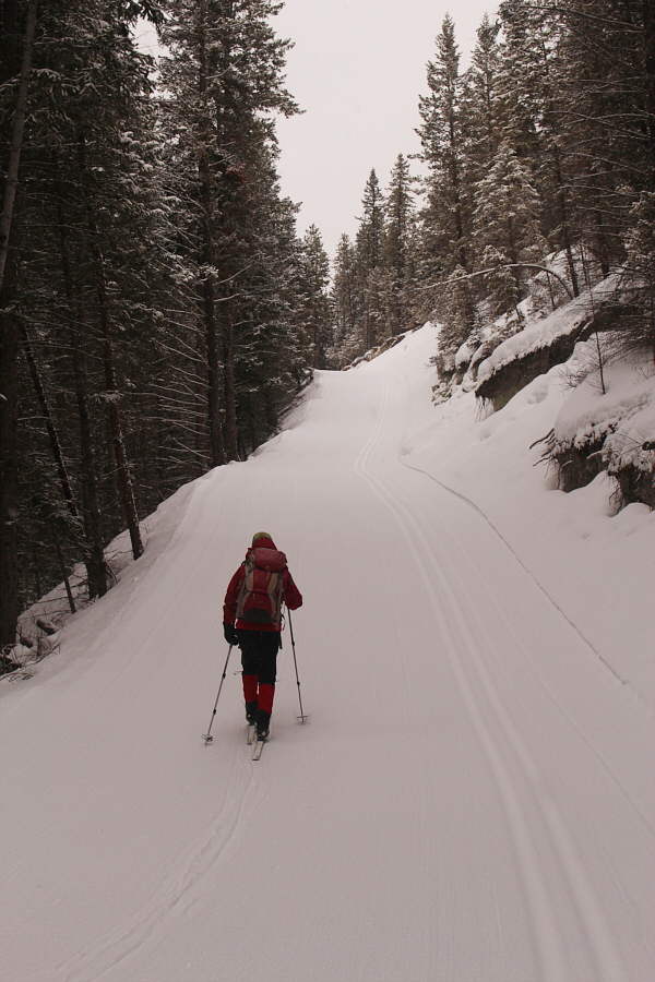 Similar to climbing up to Hydroline from Fox Creek at Peter Lougheed Provincial Park.