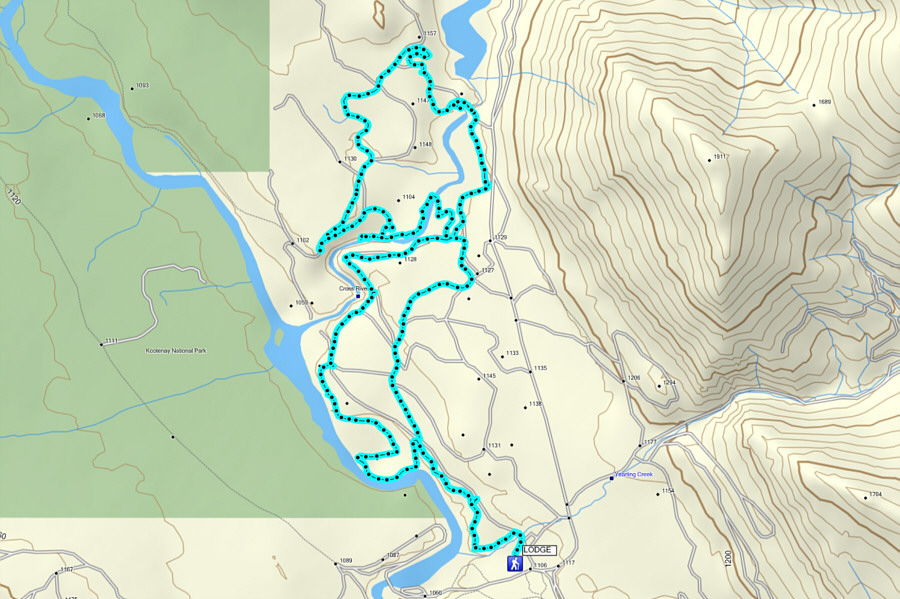 They even have frisbee golf!