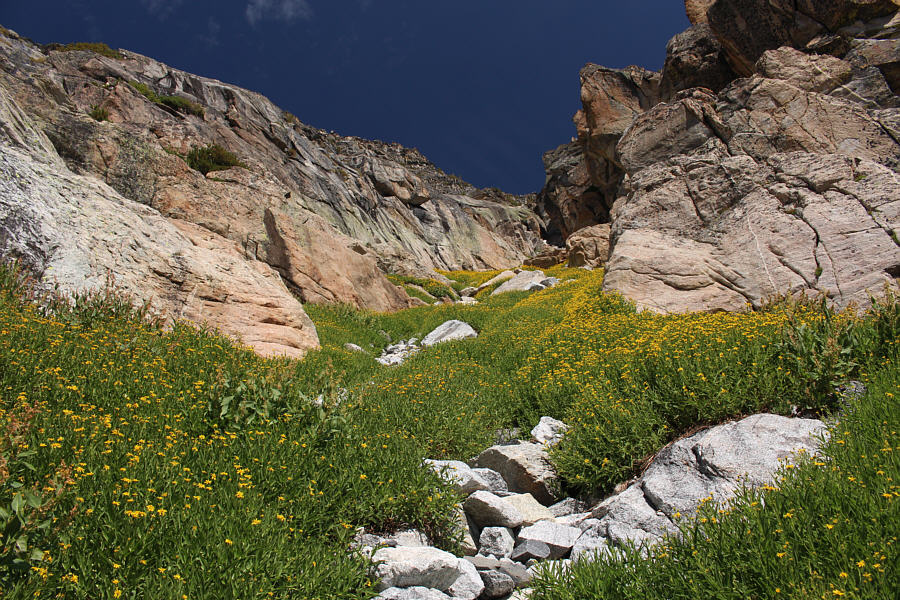 The vegetation actually helps to stabilize the rocks in the couloir.