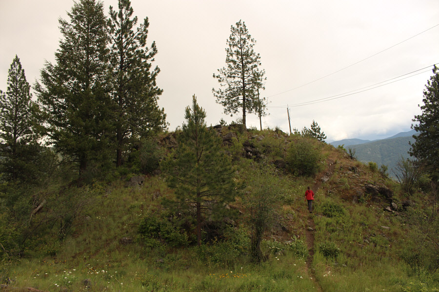 The summit views kinda suck with all the trees and telephone poles/wires...