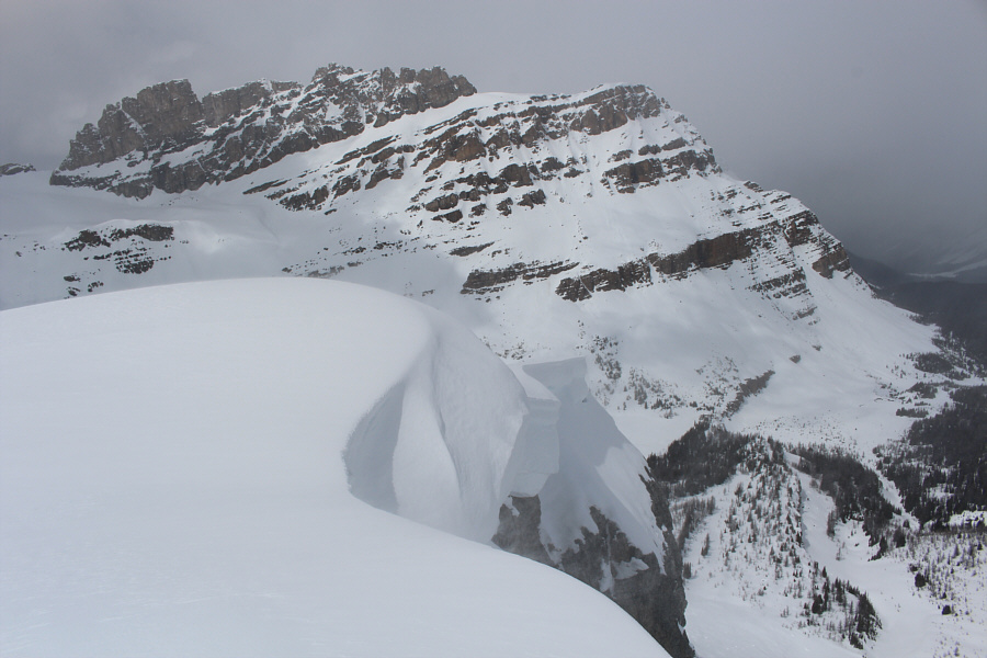 Maybe a scramble trip for this summer?