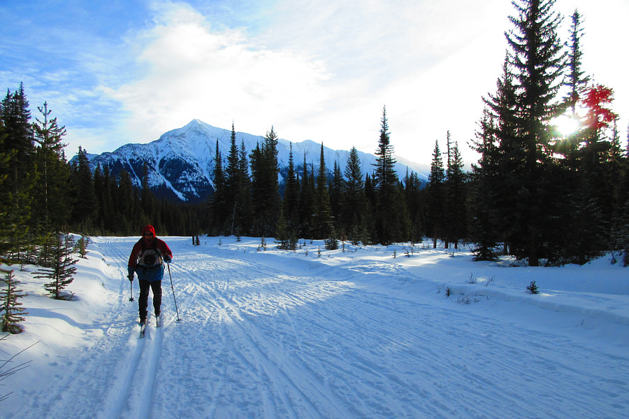 Nobody else skiing here right now...hmmm...