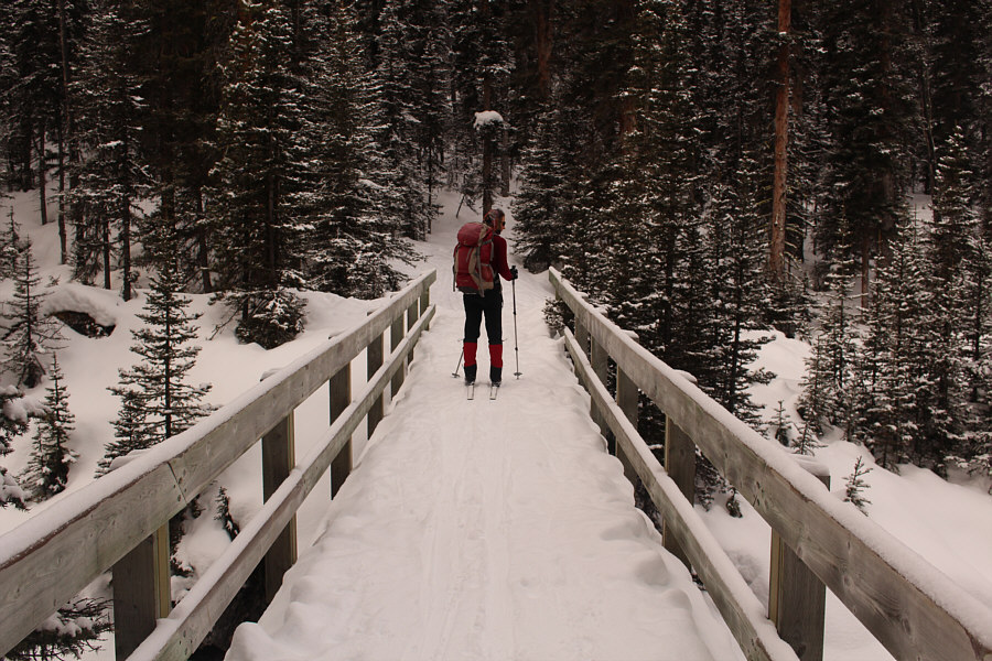 Prepare to start breaking trail beyond this bridge...