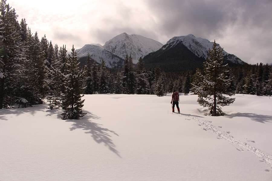 Keep left here to go to Upper Spray River Valley.
