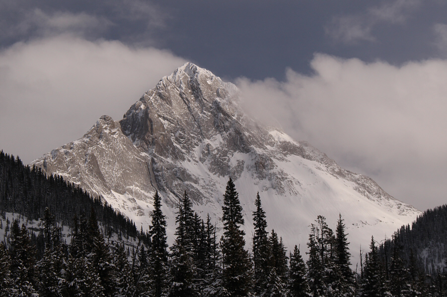 Sexy peak of the day!
