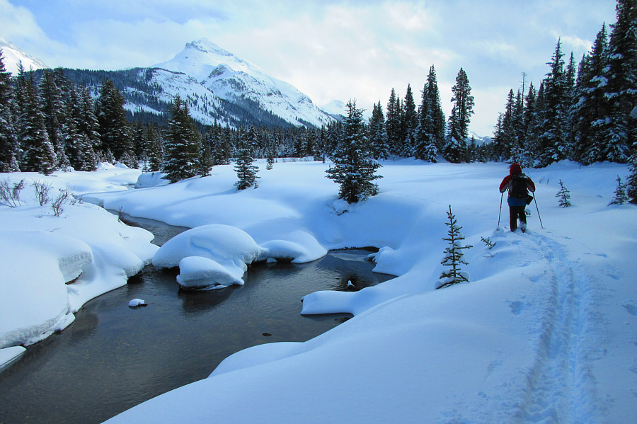 Not sure how much longer this suffer-fest will continue...