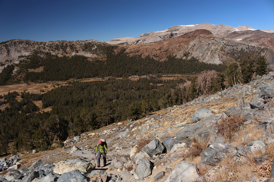 We will have to hike up Gaylor Peak the next time we're in the area.