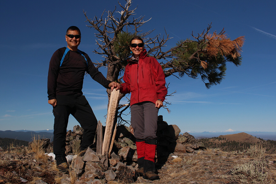 And there is even a pine tree here!