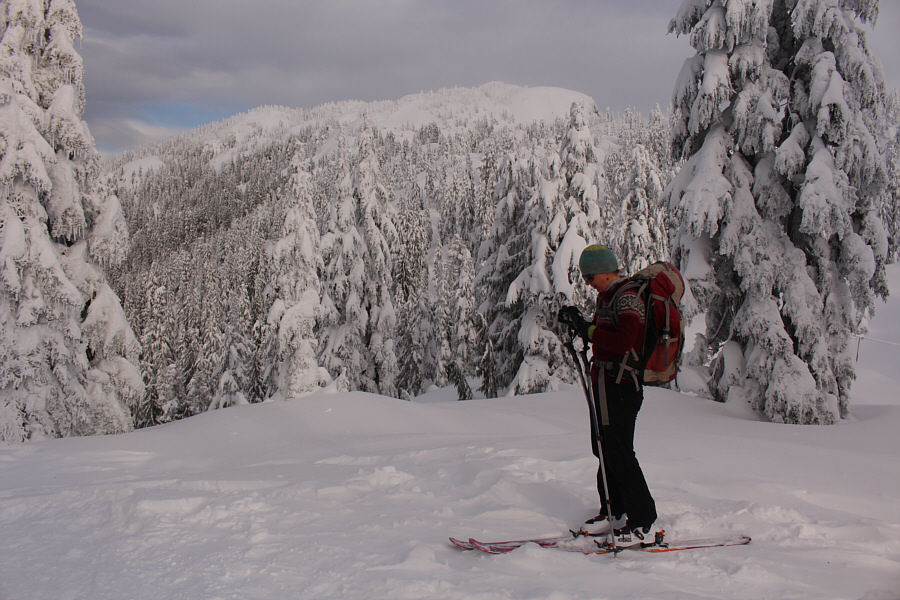 Doesn't look too bad to ski down...