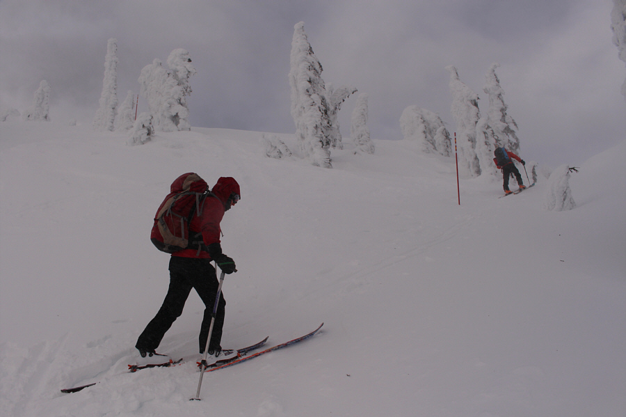 A good place to use your heel lifts!