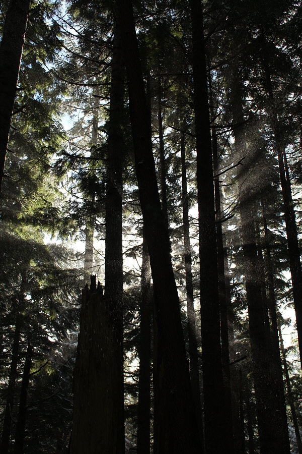 Get used to this view if continuing to the summit!