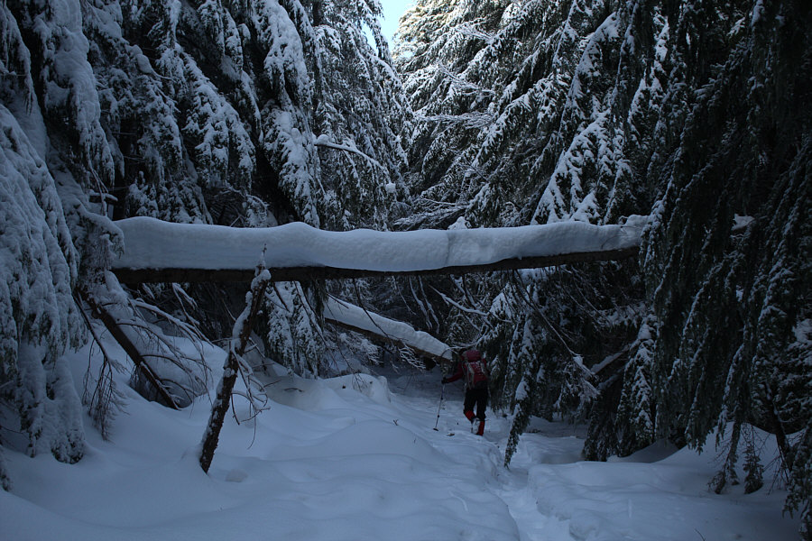 Kinda spooky and pretty at the same time!